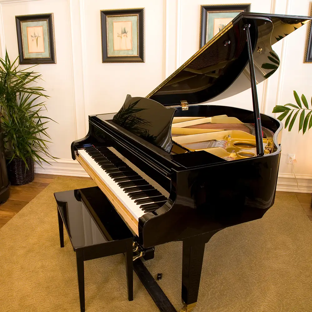 Delicate Piano Relocations